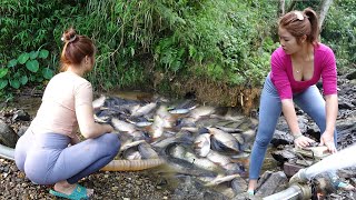 Greatest Fishing Videos Fishing Catching Fish With Pump Catching A Lot Of Fish In The Wild Lake [upl. by Maretz5]