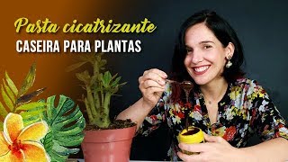 Como fazer uma Pasta Cicatrizante para plantas [upl. by Nedrah]