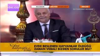 Evde Beslenen Hayvanlar Öldüğü Zaman Vebali Bizden Sorulur Mu Nihat Hatipoğlu [upl. by Francoise]