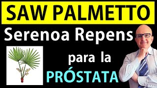 🌸 SERENOA REPENS SAW PALMETTO👌 Remedio NATURAL para PRÓSTATA 📘Dr PEDRO CASTILLO Medicina Integral [upl. by Annaor673]