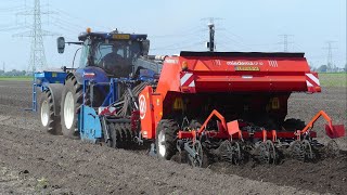 Aardappelen poten met NH T7270  Miedema CP42 Nieboer Alteveer [upl. by Yellek]