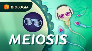 Meiosis ¿Cómo se hacen las células sexuales Crash Course Biología 30 [upl. by Sethrida687]