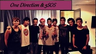 One Direction amp 5 Seconds Of Summer 5SOS [upl. by Anikahs]