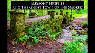 Elkmont Fireflies and the Ghost Town of the Smokies June 2023 [upl. by Otte]