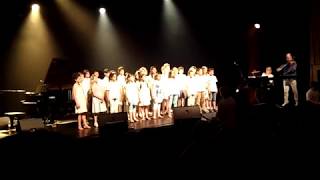 Ecole de musique de Colmar  Concert de Michel Jonasz 26 mai 2018 [upl. by Pardo908]