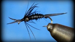 Fly Tying Biot Stonefly Nymph [upl. by Tris]