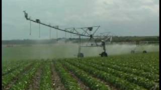 REINKE  Swing Arm Corner Irrigation Systems [upl. by Christal]