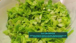 Propiedades y beneficios de la Lechuga  AgroSalud [upl. by Anailil]