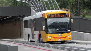 Buses at the new OBahn busway tunnel  Adelaide Metro [upl. by Selby]