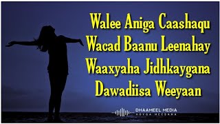 Seynab Cige Heestii  Walee Aniga Caashaqu  Hees Qaraami Xul ah With Lyrics [upl. by Salot723]