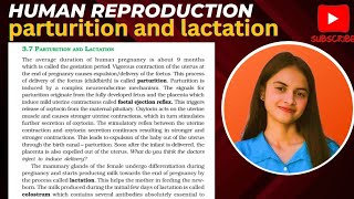 parturition and lactation class12biology humanreproduction [upl. by Ehctav]