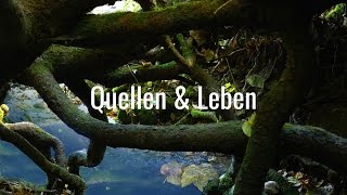 Quellen amp Leben [upl. by Ahseiym]