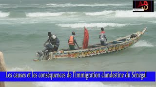 Les causes et les conséquences de l’immigration clandestine au Sénégal [upl. by Samantha163]