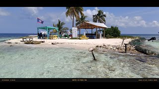 WALL DIVE SILK CAYES [upl. by Huxham568]