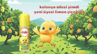 Dalin Kolonya Ailesi’nin Yeni Üyesi Limon Çiçeği [upl. by Hulton]