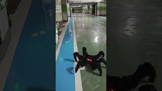 Watch My DIY Robotic Spider Scare Everyone roboticspider diyrobot robotics [upl. by Eigriv162]