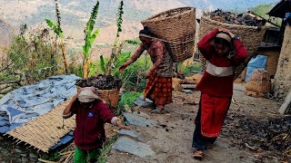 Simple the Best Himalayan Village Life  Daily activities of people in Nepali village life of Nepal [upl. by Naoh538]