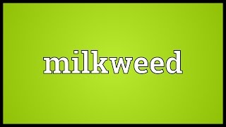 Milkweed Meaning [upl. by Euqininod]