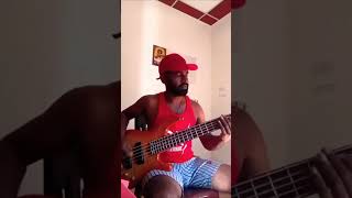 sithala haduwakin bass cover🎵🎵 [upl. by Abbey]