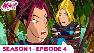 Winx Club  Season 1 Episode 26  The Witchess Downfall  FULL EPISODE [upl. by Namas438]