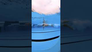 Efficient galopp freestyle swimming swimming [upl. by Kaule210]