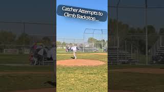 ⚾Catcher Climbs Backstop theofficialvu umpire pov [upl. by Vicky]