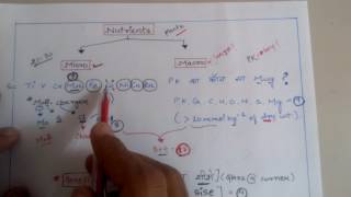 Trick to learn micronutrients and macronutrients for NEET AIIMS JIPMER KVPY etc Biology exams [upl. by Nnylaj]