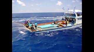 Maldives Fishermen  Faresmathoda Tuna Pole amp Line Fishing in Maldives  April 10 2007  📸 MV Imthi [upl. by Adlar595]