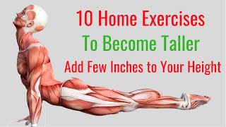 10 Home Exercises to Become Taller in No Time [upl. by Traver301]