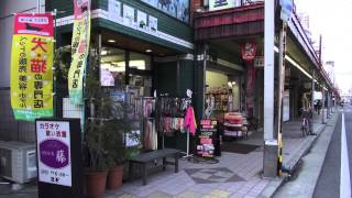 2013 甲子園口本通南中央商店街 兵庫県西宮市 [upl. by Tyrus921]