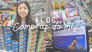 VLOG COMPRAS DO MÊS  VLOGÃO DA LELÊ  Hi Lelê [upl. by Attenaej]