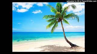 Reggaeton Type Beat  2024  Chile  quotBeachquot [upl. by Keegan]