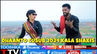 DHAANTO CUSUB OO SHIDAN KALA SHAKIS 2024 ABWAAN BISHAAR IYO UBAH [upl. by Krenek]