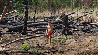 Zukunft Amazonas Bedrohte Schöpfung  bedrohte Völker [upl. by Norok960]