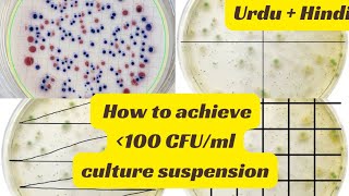 How to achieve 100 CFUml culture suspension  Microbial Cultures  Pure Cultures ATCC  Bacterial [upl. by Nnylsaj102]