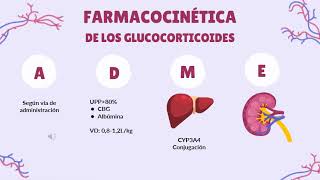 Clase Farmacología de los glucocorticoides  turno lunes 2023 [upl. by Yeliac]