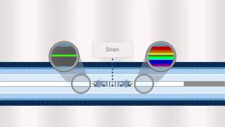 FBG Optical Sensing Overview [upl. by Ayekin159]