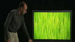 Sony 3LCD Television Training video [upl. by Niemad]