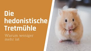 Psychologie des Minimalismus Die hedonistische Tretmühle [upl. by Reinar]