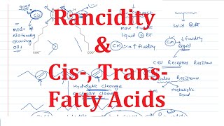 11 Cis Trans Fatty Acids amp Rancidity [upl. by Yelruc821]