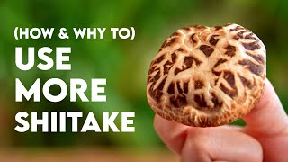 How to cook with Dried Shiitake 3 recipes [upl. by Partridge]