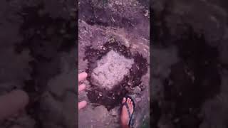 LADU KE TRACTOR KE LIYE GHAR AND FARMHOUSE VLOG enjoy vlog ytshorts cute baby [upl. by Koziel]