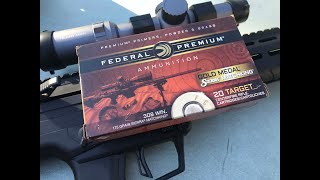 308 Winchester 175gr BTHP Federal Premium Gold Medal GM308M2 [upl. by Esydnac]