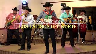 Cumbia “Poquito a Poco” en Vivo  Latigos Del Norte [upl. by Lauter]