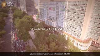 Conoce tus Semanas Cotizadas en el IMSS [upl. by Rexford]