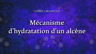 Mécanisme daddition de H2O sur alcène en 3D [upl. by Hodgkinson]