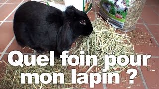 Quel foin pour mon lapin [upl. by Behn307]