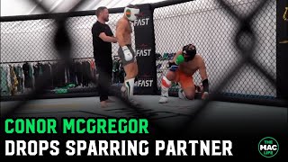 Conor McGregor sparring ahead of UFC 303 [upl. by Soisinoid]