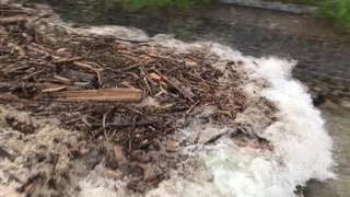 Laui Giswil 3152017 2007 Hochwasser Flutwelle nach Gewitter im Einzugsgebiet [upl. by Desai]