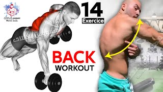 These are the 14 Biggest Back Exercises You Need to Know [upl. by Ttegdirb]